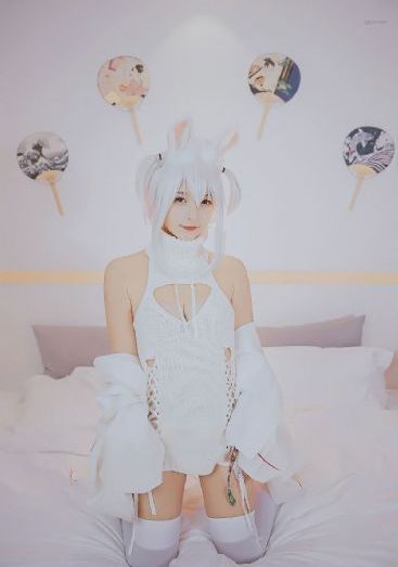 大贵族