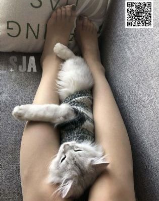 日本在线视频免费观看