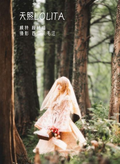 林中爱季 电视剧