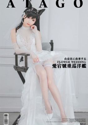 浮图缘电视剧免费观看全集高清